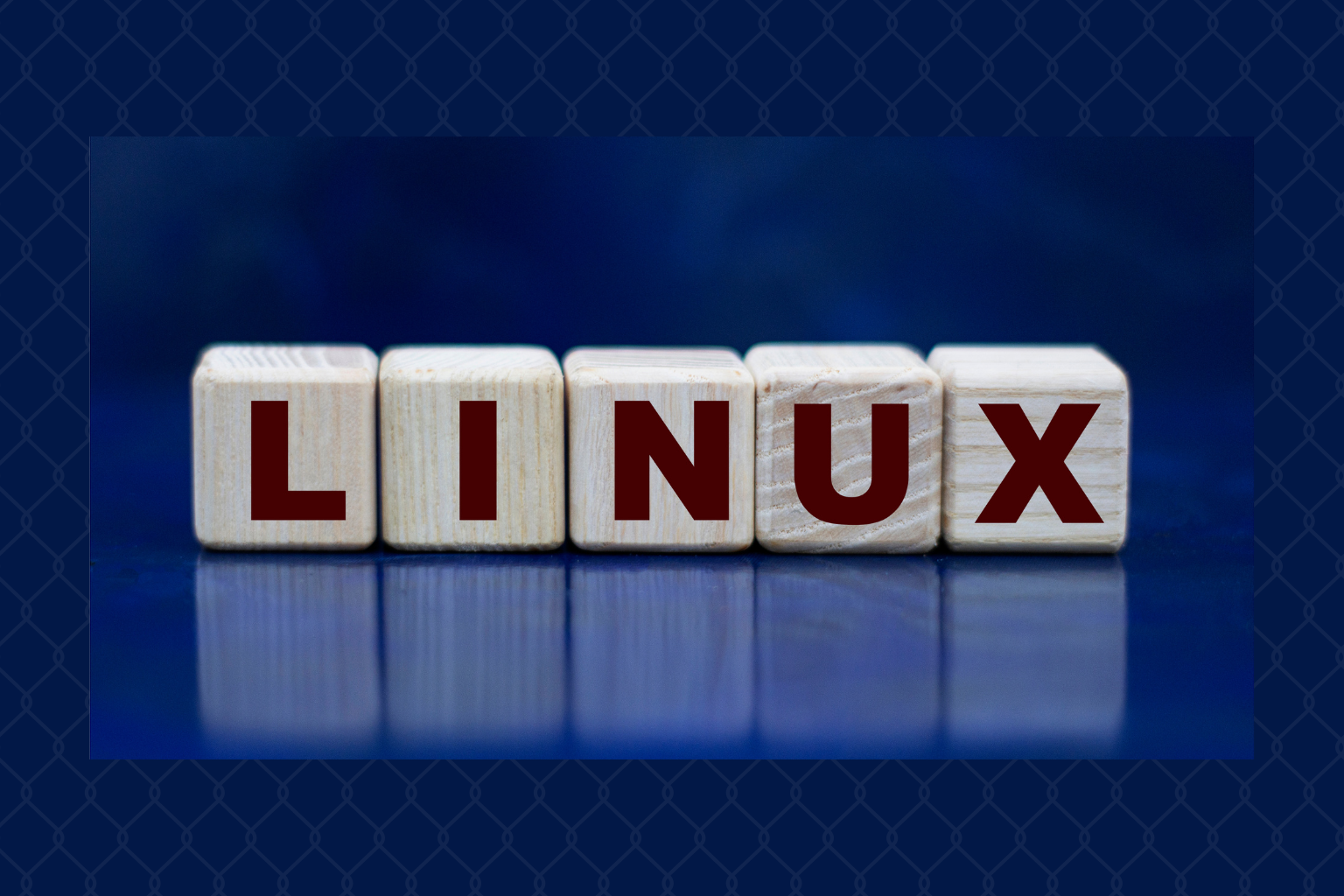Linux Essentials for Beginners